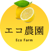 三重の国産レモン【南紀リモーネ】　農業生産法人有限会社エコ農園